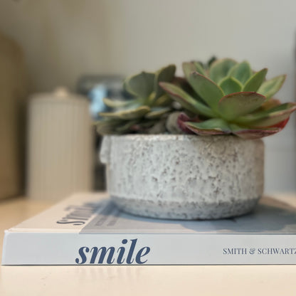 The Smile Coffee Table Book